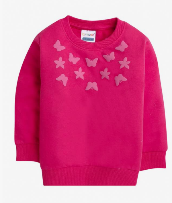 Girls' 3D Butterfly & Flower Applique Sweatshirt